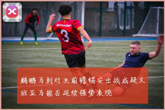 鹈鹕马刺对决前瞻锡安出战成疑文班亚马能否延续强势表现