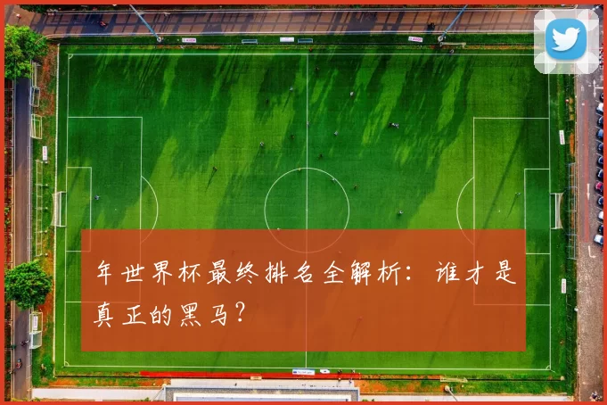年世界杯最终排名全解析：谁才是真正的黑马？