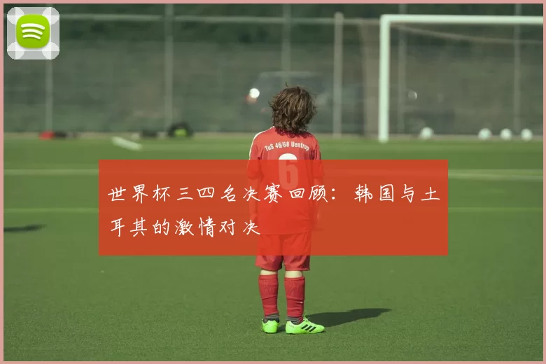 世界杯三四名决赛回顾:韩国与土耳其的激情对决