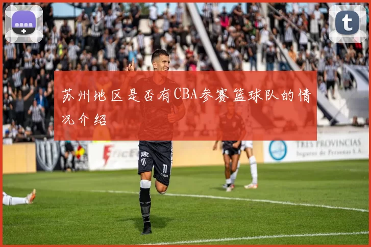 苏州地区是否有CBA参赛篮球队的情况介绍
