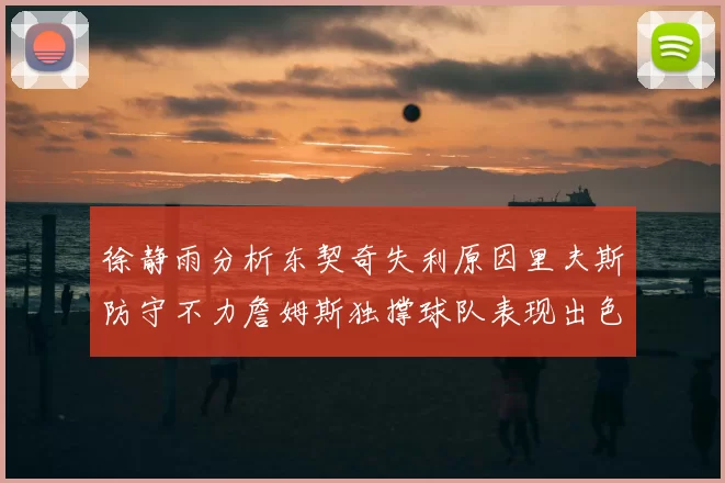 徐静雨分析东契奇失利原因里夫斯防守不力詹姆斯独撑球队表现出色