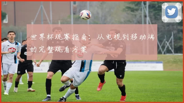世界杯观赛指南：从电视到移动端的完整观看方案