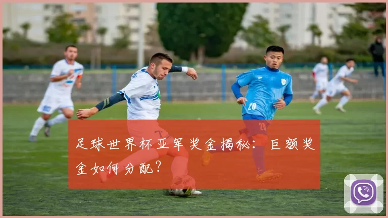 足球世界杯亚军奖金揭秘:巨额奖金如何分配?