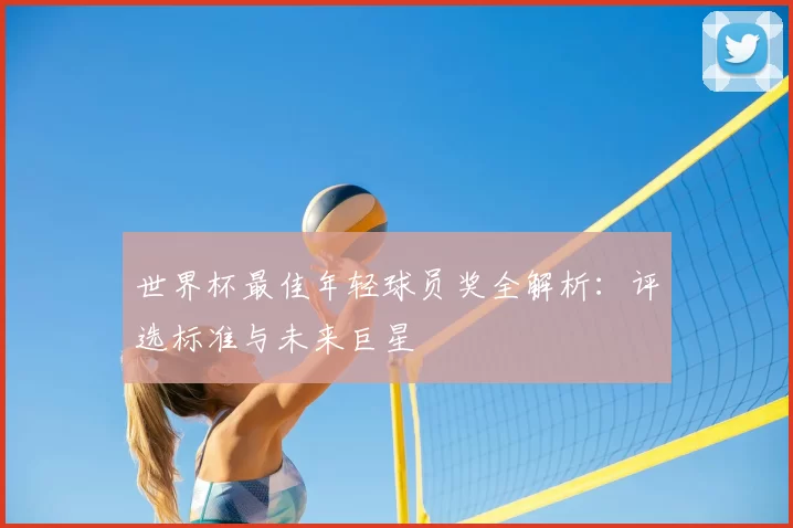 世界杯最佳年轻球员奖全解析:评选标准与未来巨星