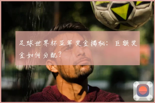 足球世界杯亚军奖金揭秘：巨额奖金如何分配？