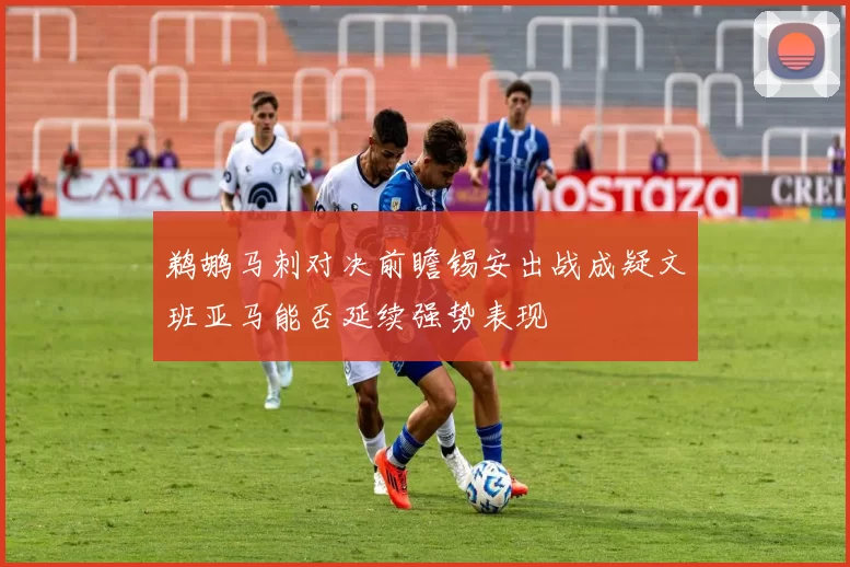 鹈鹕马刺对决前瞻锡安出战成疑文班亚马能否延续强势表现