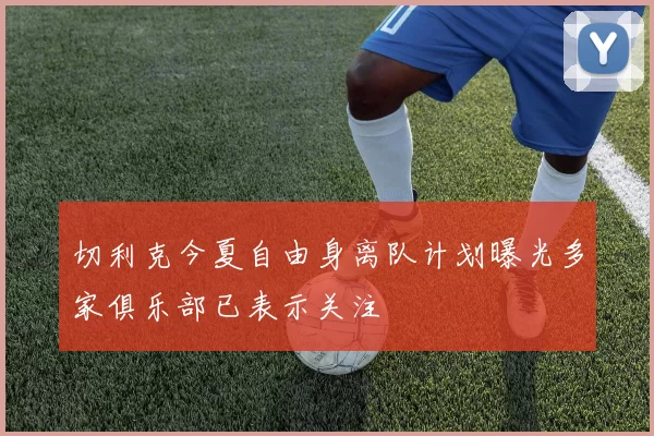 切利克今夏自由身离队计划曝光多家俱乐部已表示关注