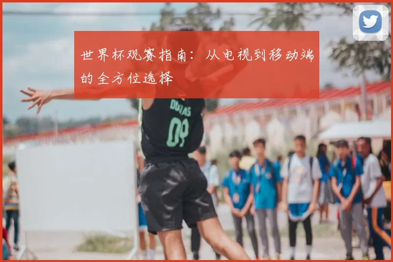 世界杯观赛指南:从电视到移动端的全方位选择