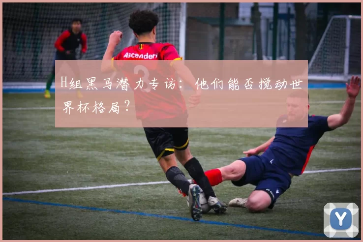 H组黑马潜力专访:他们能否搅动世界杯格局?