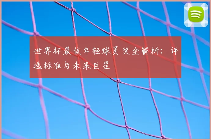 世界杯最佳年轻球员奖全解析:评选标准与未来巨星