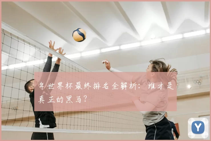 年世界杯最终排名全解析:谁才是真正的黑马?